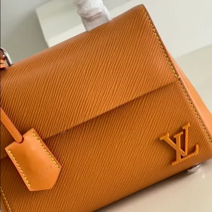 Louis Vuitton Cluny Mini Bag - LH13