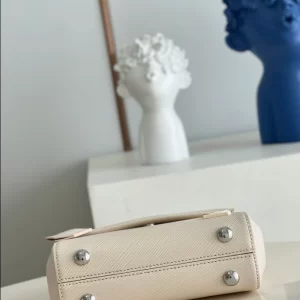 Louis Vuitton Cluny Mini Bag - LH14