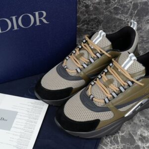 Dior B22 Sneaker - DS76